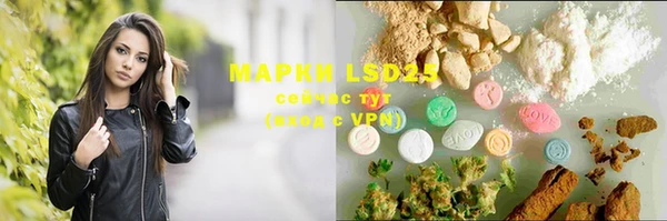 PSILOCYBIN Балахна