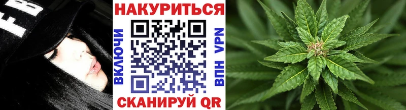 Конопля VHQ  shop официальный сайт  Буй  как найти наркотики 